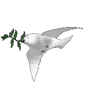 the Dove of Peace